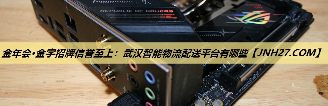 武汉智能物流配送平台有哪些