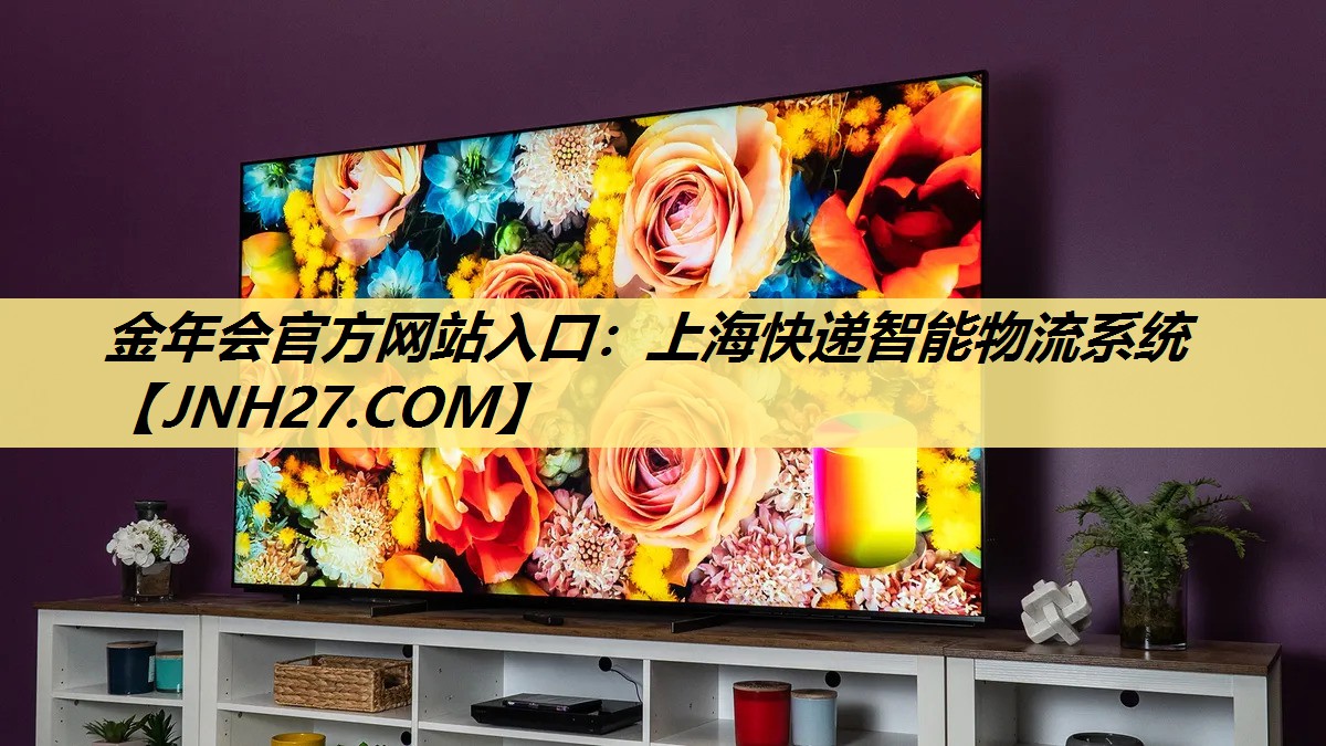 上海快递智能物流系统